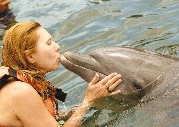 Bianca bacia delfino