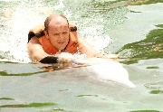 Gino tirato da delfino