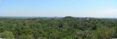 foto panoramica del paesaggio di Tikal